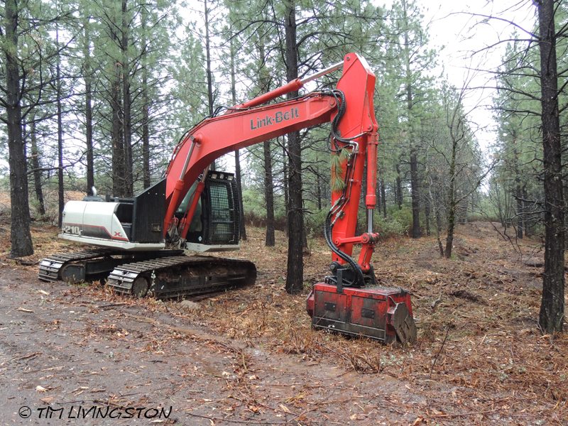forestry, masticator, fuelbreak