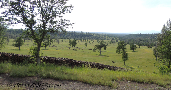 foothills, California
