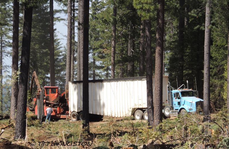 chipper, wood chipper, chip van, biomass