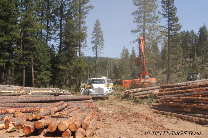 service truck, log processor, log, logger, logging