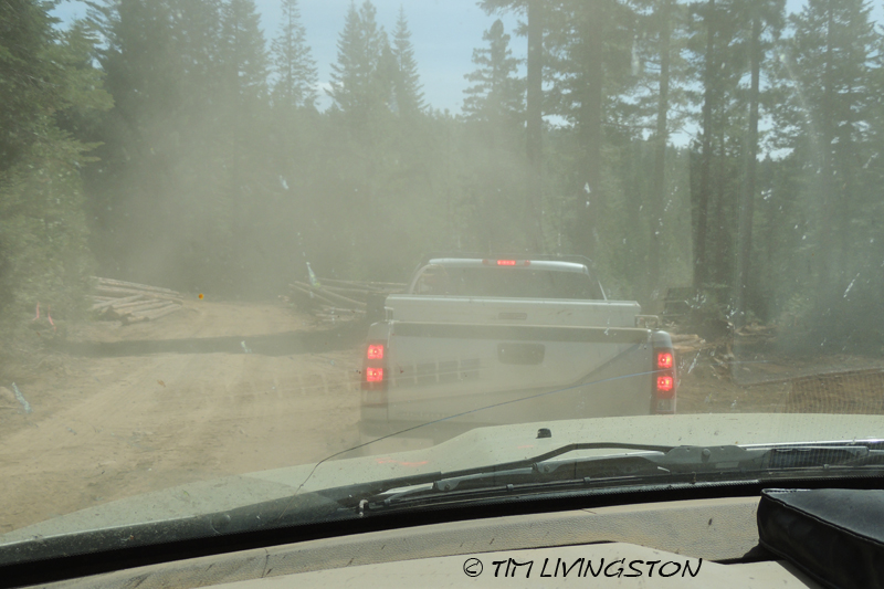 siderod, logger, logging boss, logging