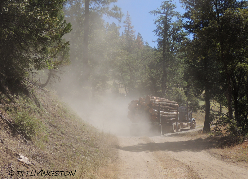 logging truck
