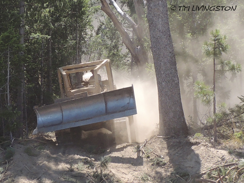 logging, skidding, skid cat