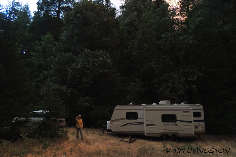 wildfire, forest fire