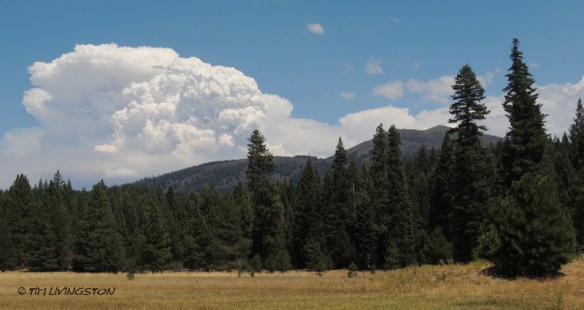 A huge thundercloud forms about The Bald Mountain Fire.