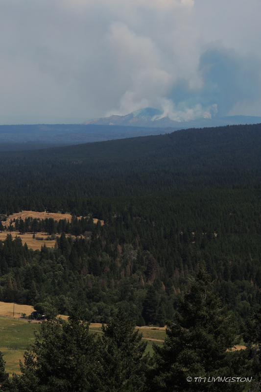 Bald Mountain Fire
