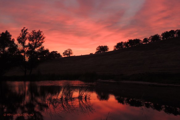 Wildfire Sunsets are a silver lining. 
