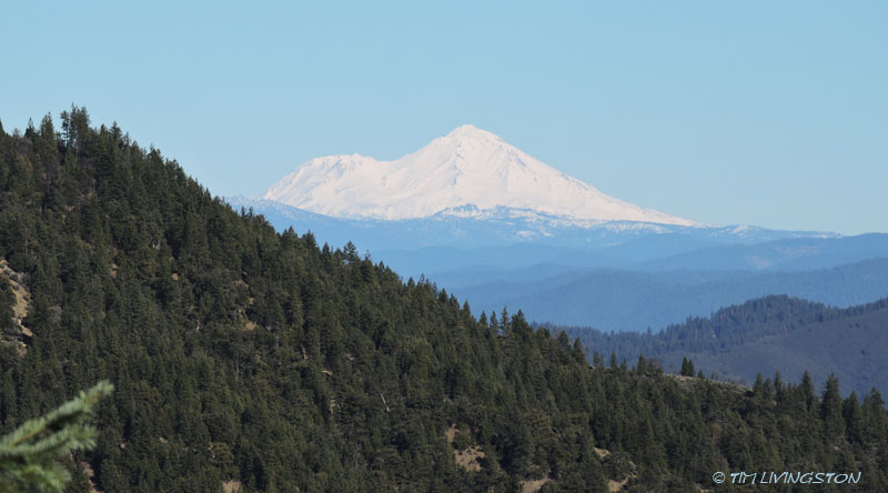 Mt Shasta
