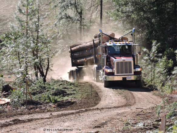 logging truck, log truck