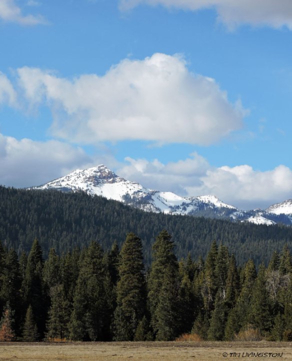 Lassen Park
