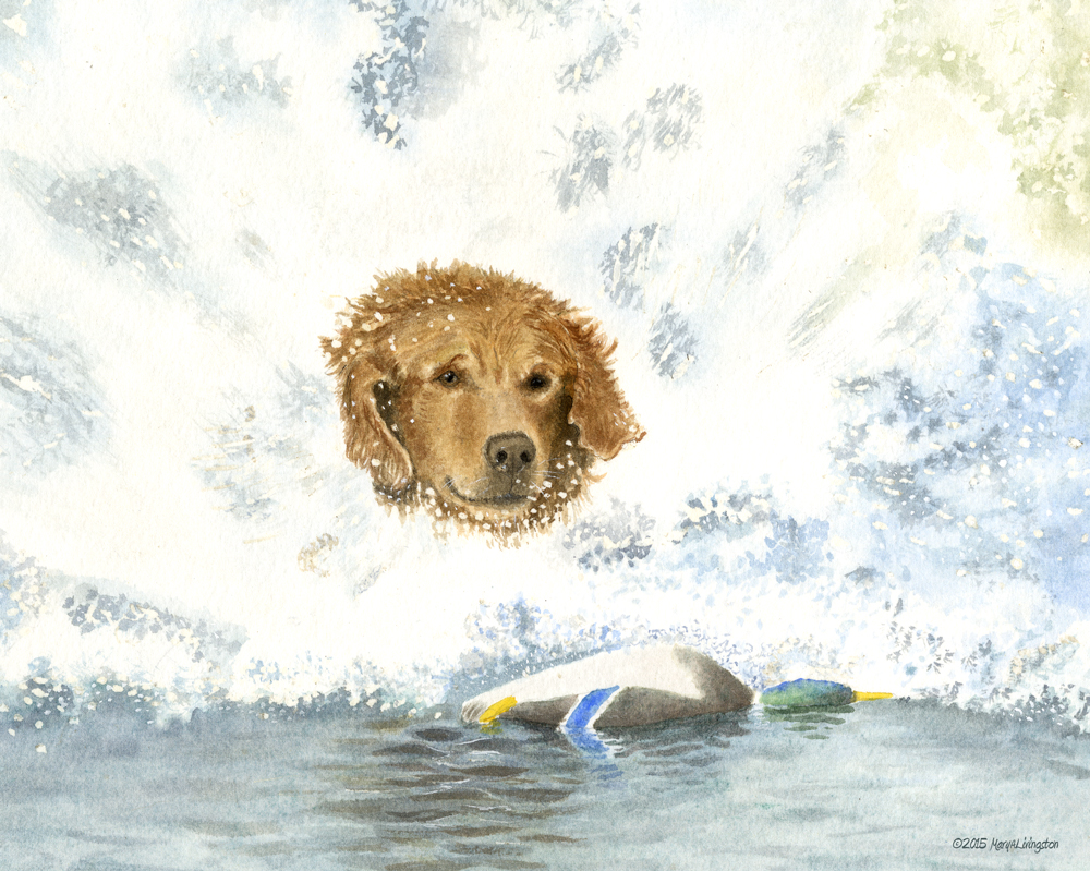 Saturday Night RedTail Ducks Ahoy - Sailor