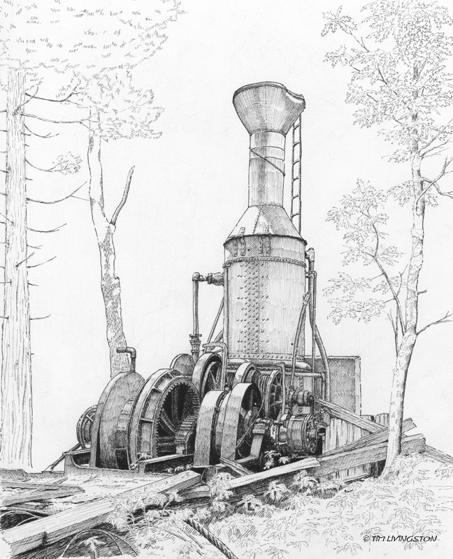 steam donkey, Willamette steam donkey, steam yarder, pen and ink, pen, ink, drawing.