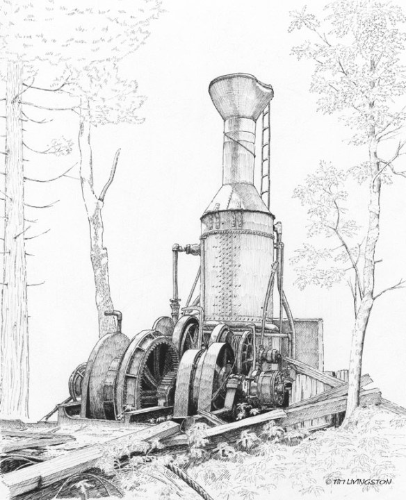 steam donkey, Willamette steam donkey, steam yarder, pen and ink, pen, ink, drawing.