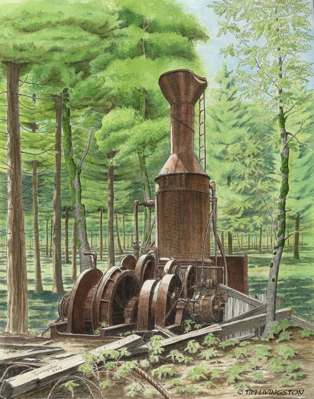 steam donkey, pen and ink, drawing, art, watercolor, watercolour