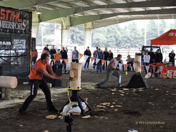 logging sports, loggers, chopping, ax
