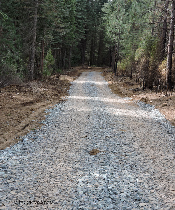 winter period, forestry, logging, salvage logging