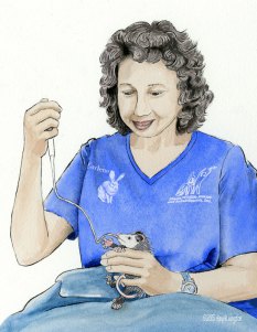 Shasta Wildlife  Rescue volunteer feeds an orphaned baby opossum.