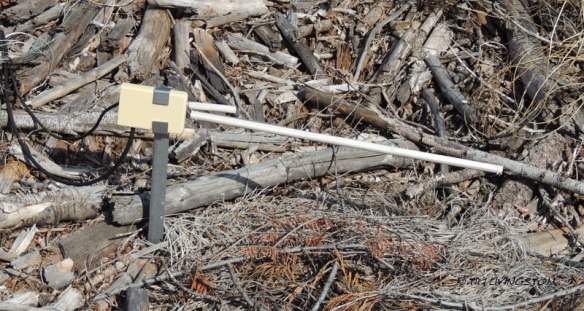 fuel moisture stick, fuel moisture, wildfire, fire weather