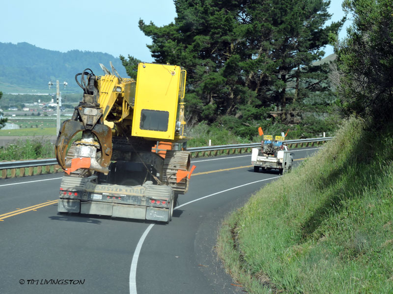 Log loader, heel boom