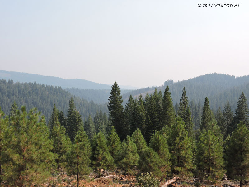 smoke, smoky, air quality