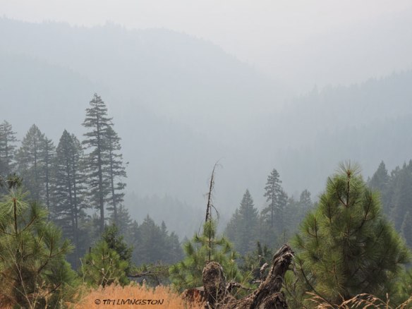 Trinity County, wildfire, smoke