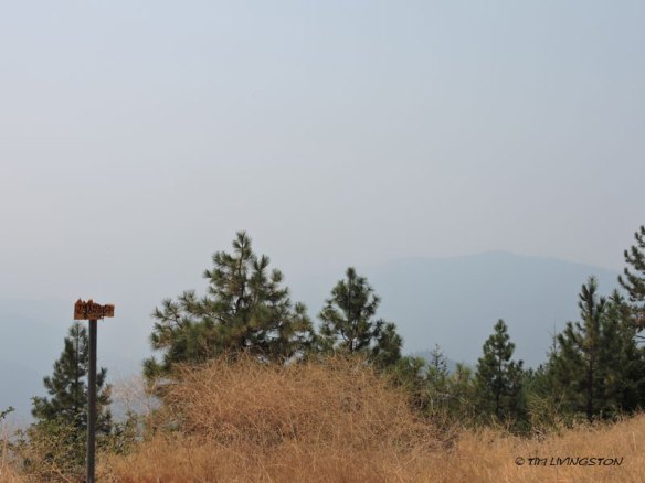 Looking toward the Trinity Alps.