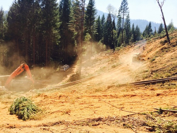 processor, logging logs logger