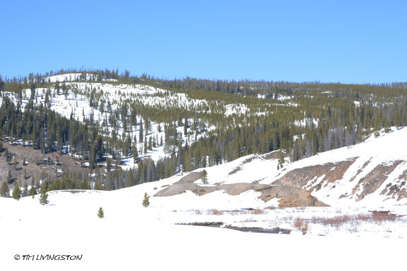 Yellowstone National Park