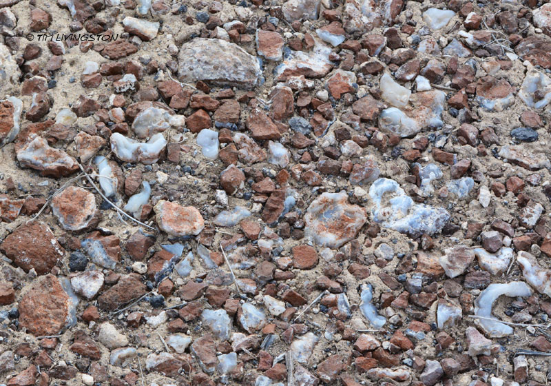 agate, rockhounding, geodes