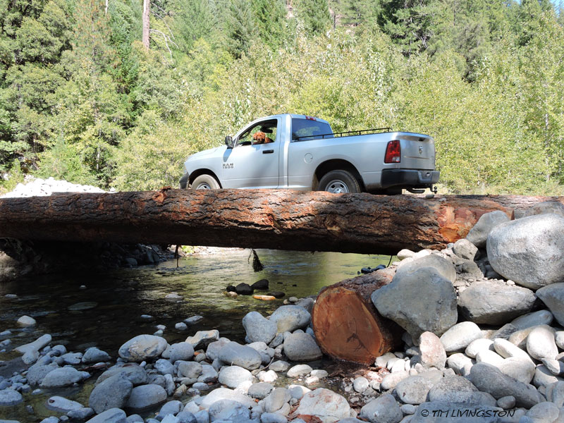 forestry, logging, bridge, log bridge, log stringer bridge