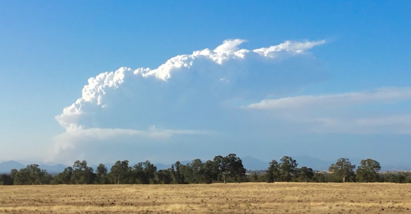 Wildfire, Delta Fire